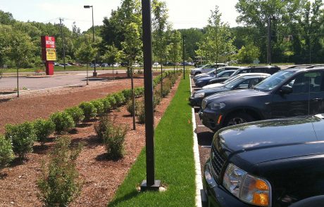 Barbara Wilson, Landscape Architect