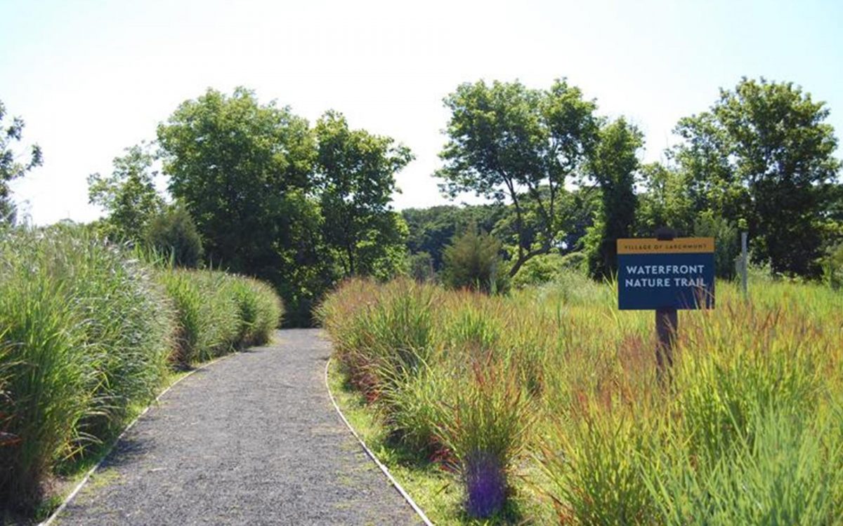 Flint Park Barbara Wilson Landscapes
