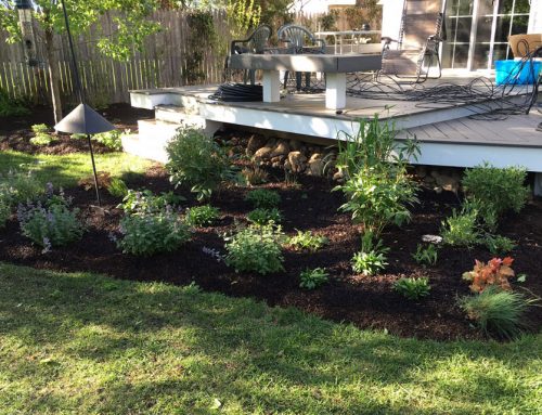Site Plantings
